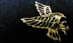 10k gold eagle pendant bk